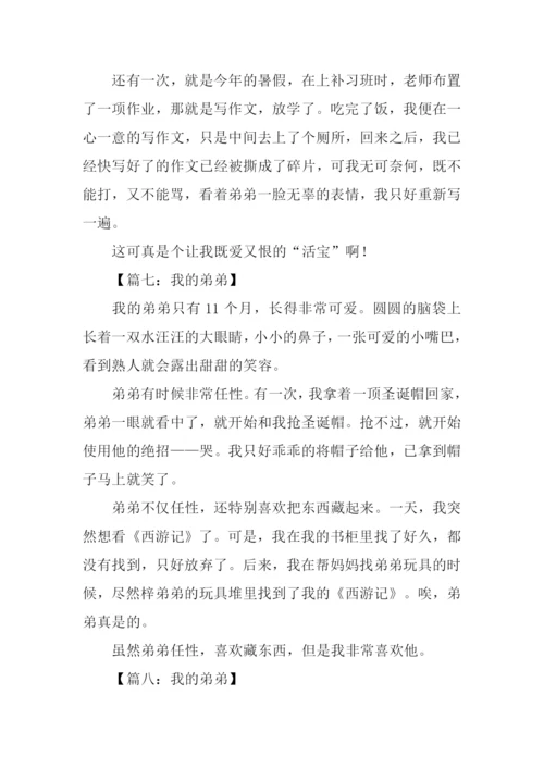 我的弟弟作文200字.docx