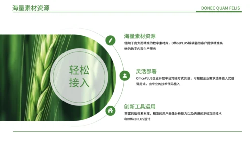绿色简约风现代农业发展PPT