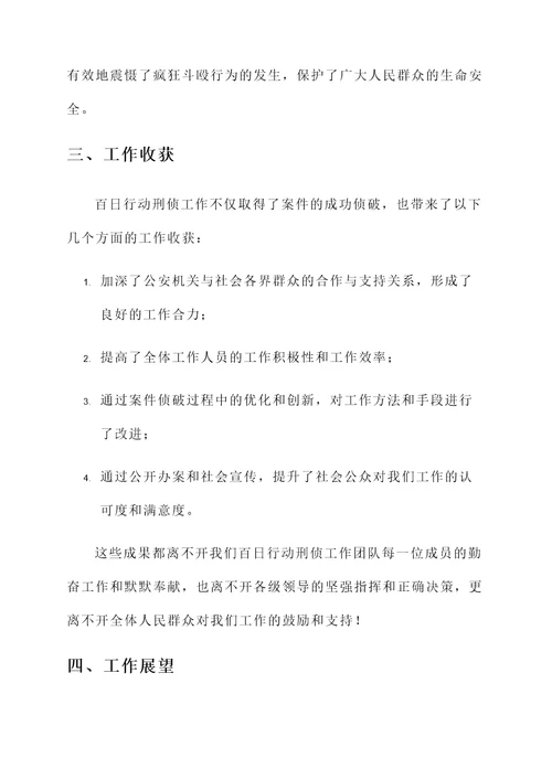 百日行动刑侦工作总结汇报