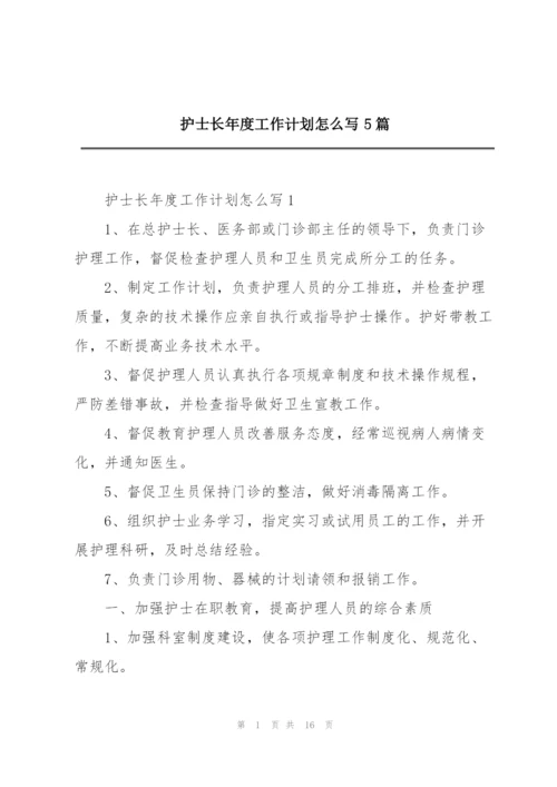 护士长年度工作计划怎么写5篇.docx