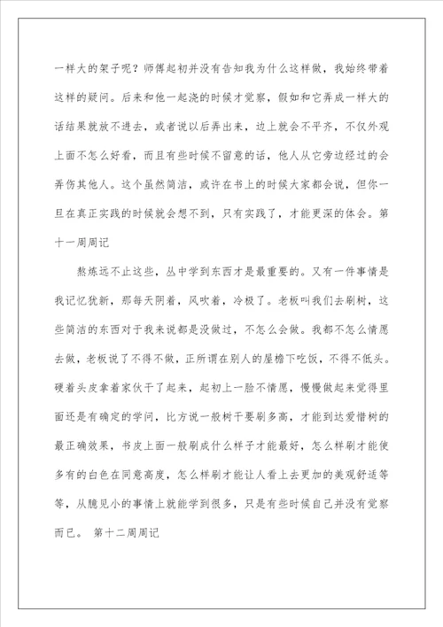 实习周记200字大全