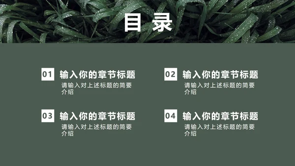 墨绿INS风小清新实景草地教学PPT模板