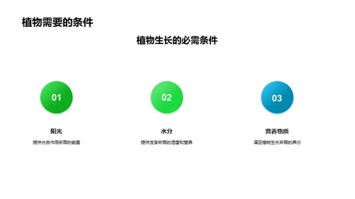 植物生长的奇妙之旅