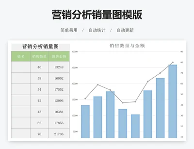 营销分析销量图模版