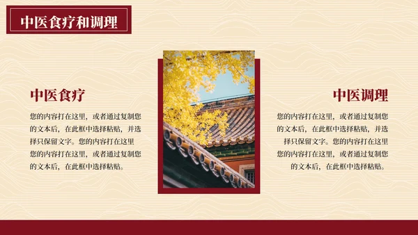 简约高级拟物国风书籍中医宣传PPT模板