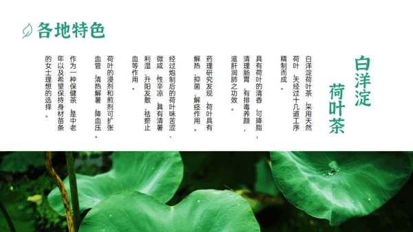 绿色清新风一杯抹茶产品介绍通用PPT模板