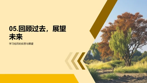小学往事回味录