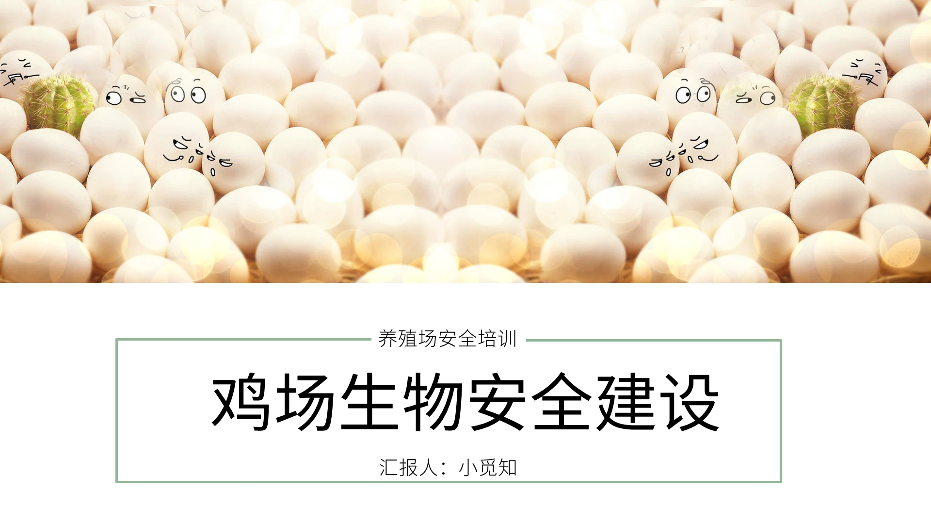 绿色简约鸡场生物安全建设安全生产PPT模板养殖场安全培训