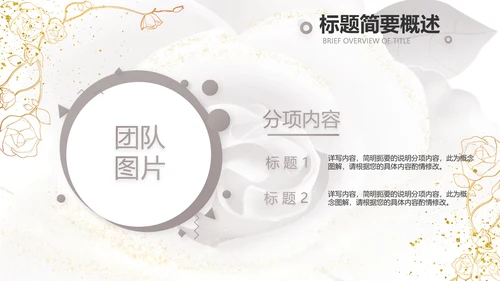 公司企业品牌化妆品介绍宣传PPT