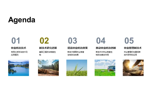 林业防治创新之路
