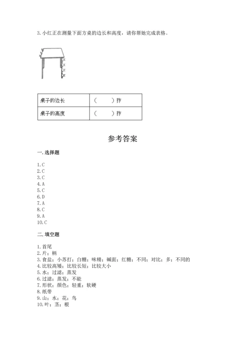 教科版小学一年级上册科学期末测试卷附答案【轻巧夺冠】.docx