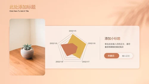 棕色小清新通用演示PPT模板