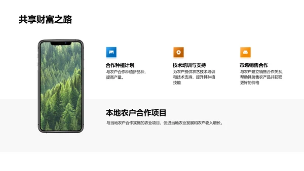 农业项目进展与展望