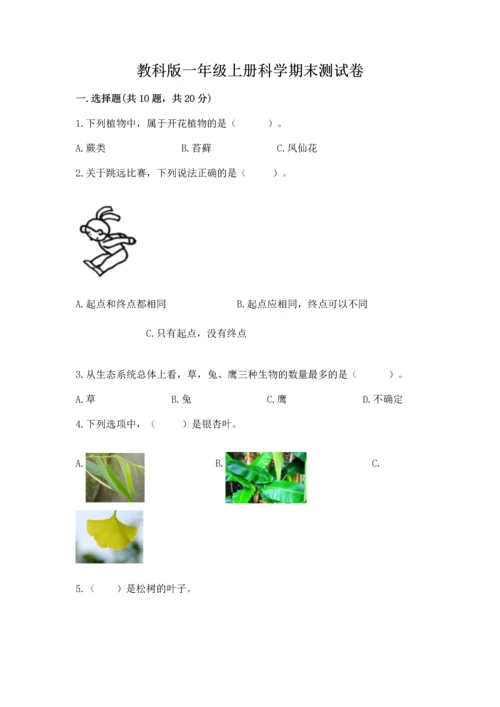 教科版一年级上册科学期末测试卷及答案一套.docx