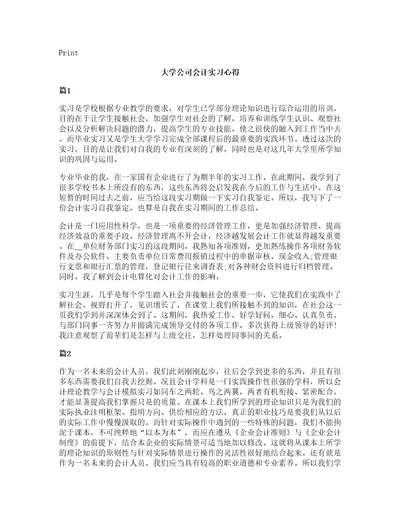 大学公司会计实习心得