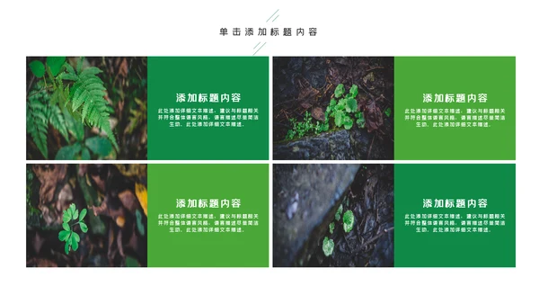 唯美绿色植物发芽植物生长敬畏生命PPT模板