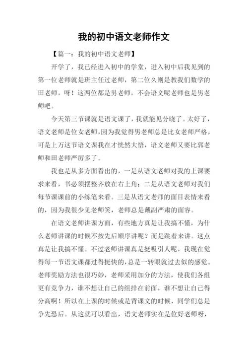 我的初中语文老师作文.docx