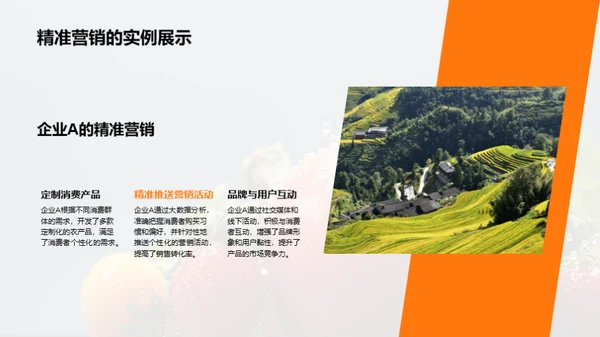 农产品精准营销之道