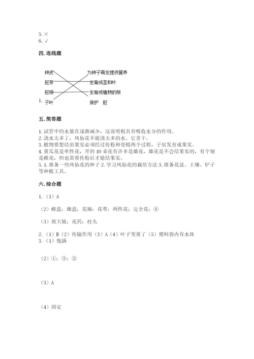 科学四年级下册第一单元《植物的生长变化》测试卷及答案1套.docx