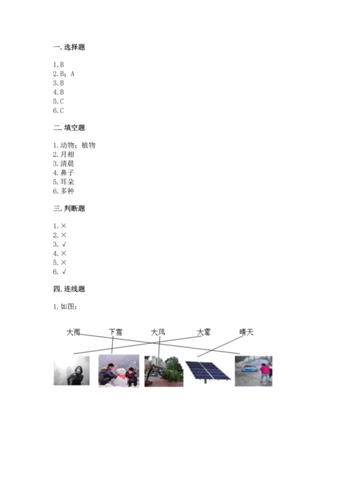 教科版二年级上册科学期末测试卷附答案（实用）.docx