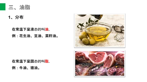 营养学营养物质研究初高中生物PPT课件