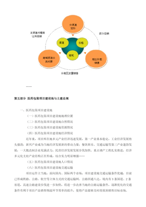 医药包装项目可行性研究报告模板.docx