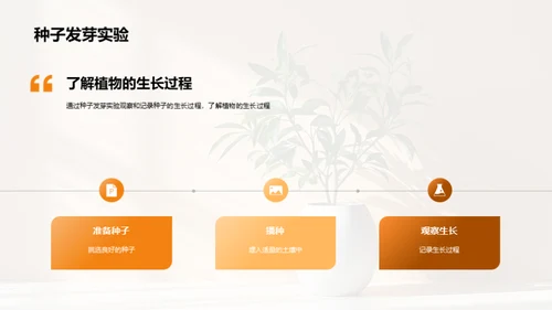 揭秘植物生长奇观