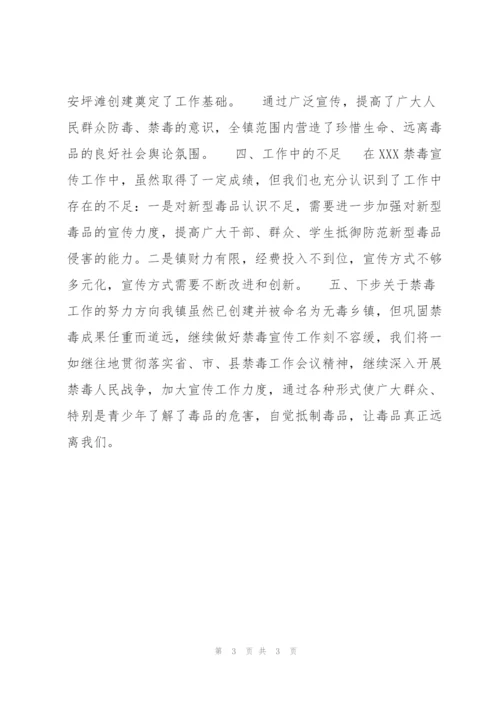 镇禁毒宣传活动月工作总结.docx