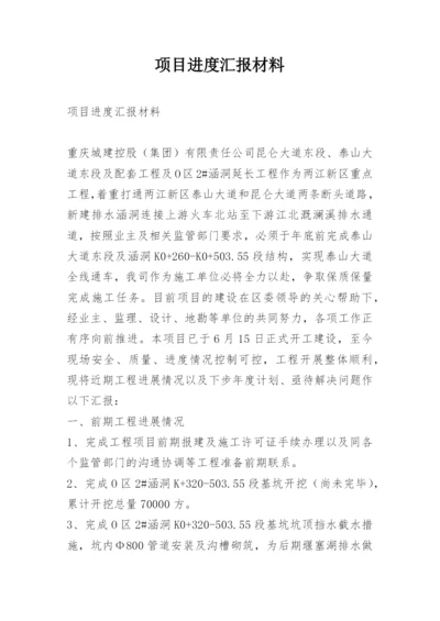 项目进度汇报材料.docx