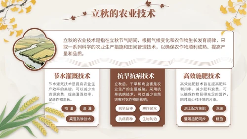 褐色中国风立秋节气文化知识主题班会