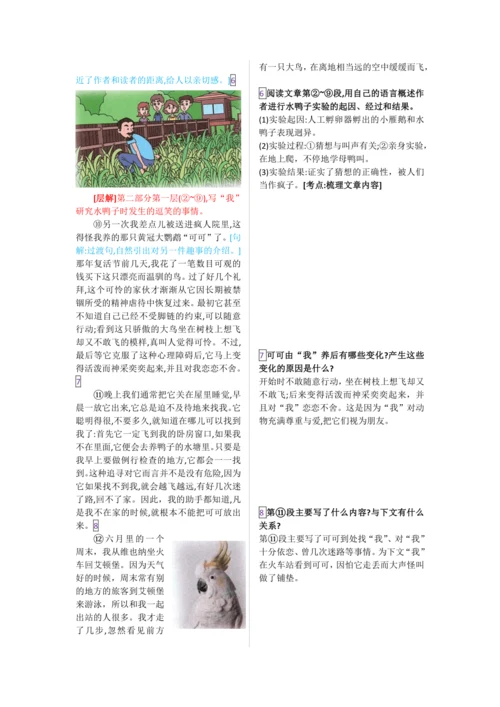 第五单元 第十七课 动物笑谈-【教材解读】2022-2023学年人教部编版语文七年级上册