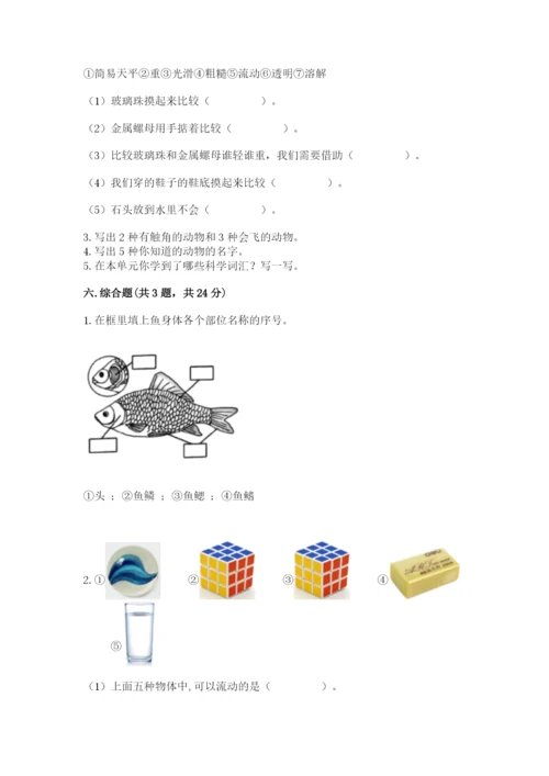 教科版一年级下册科学期末测试卷（精华版）.docx