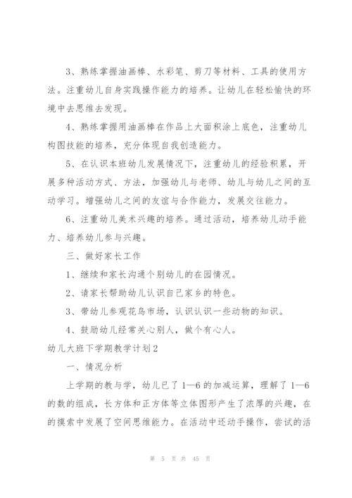 幼儿大班下学期教学计划集合11篇.docx