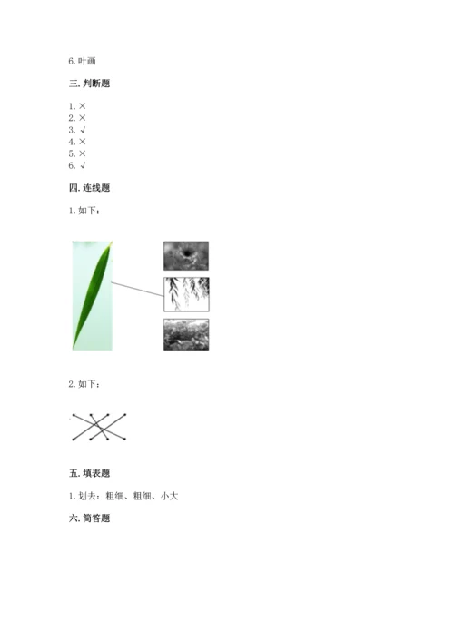 教科版科学一年级上册第一单元《植物》测试卷（典型题）.docx