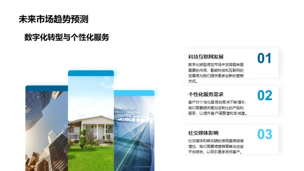 营销剖析与未来展望