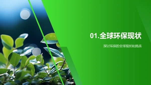 环保行动：共创绿色未来