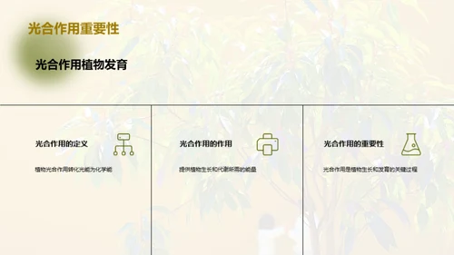 商务风教育培训教学课件PPT模板
