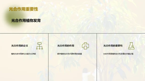 商务风教育培训教学课件PPT模板