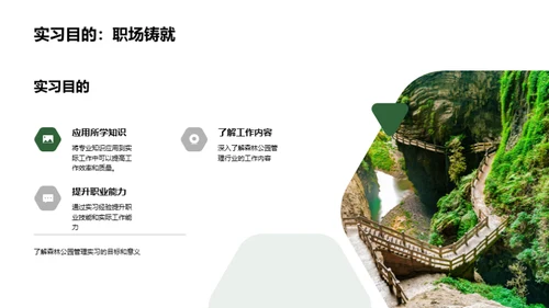 森林公园实习启航