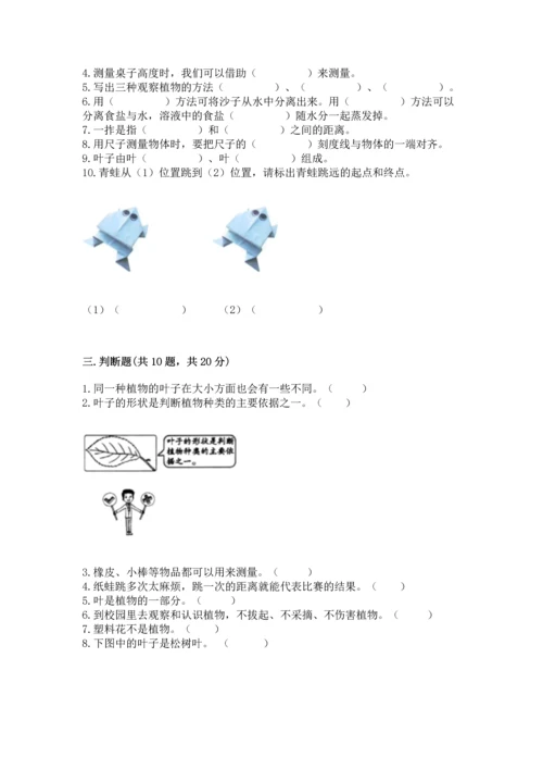 教科版一年级上册科学期末测试卷精品（能力提升）.docx