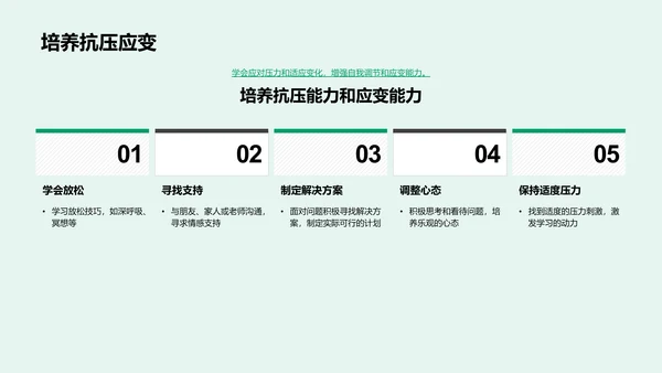 学习压力解析报告PPT模板
