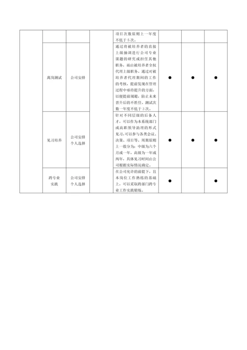 XX公司的人才梯队建设储备方案.docx