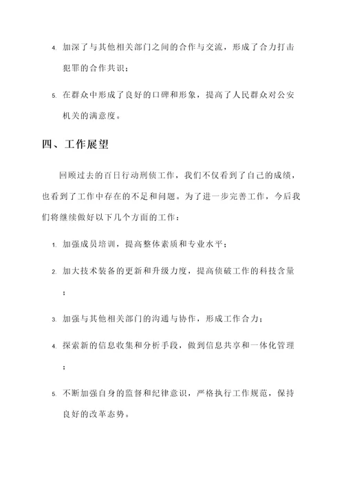 百日行动刑侦工作总结汇报