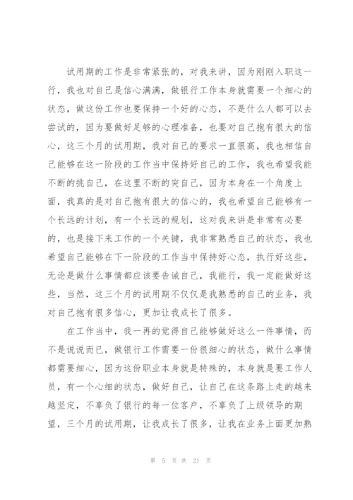 银行新职员试用期工作总结.docx