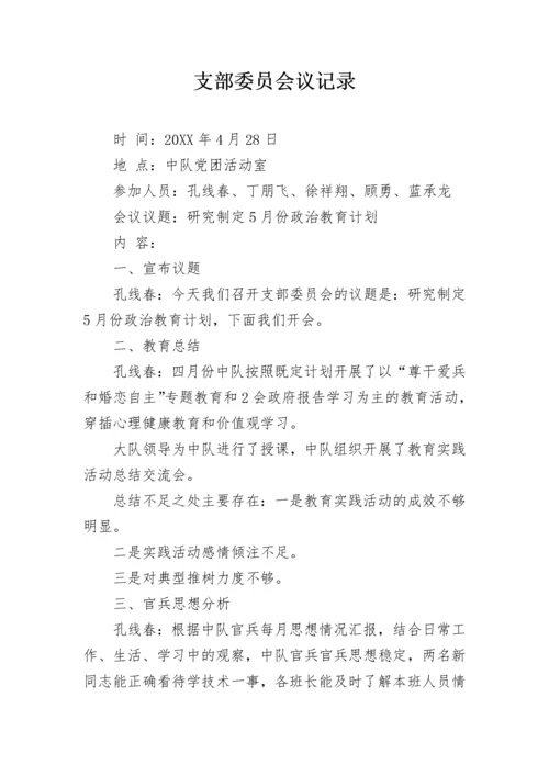 支部委员会议记录.docx