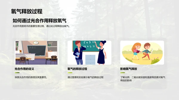 树木的生态密码