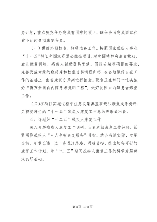 残疾人康复工作计划.docx