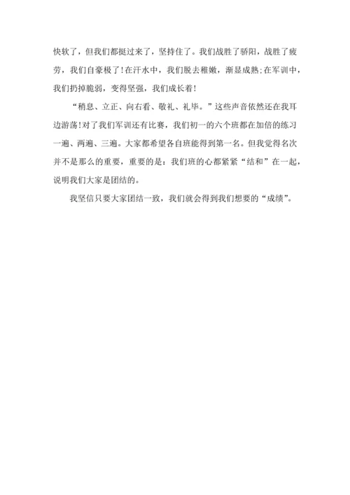 初中军训心得体会集合5篇.docx