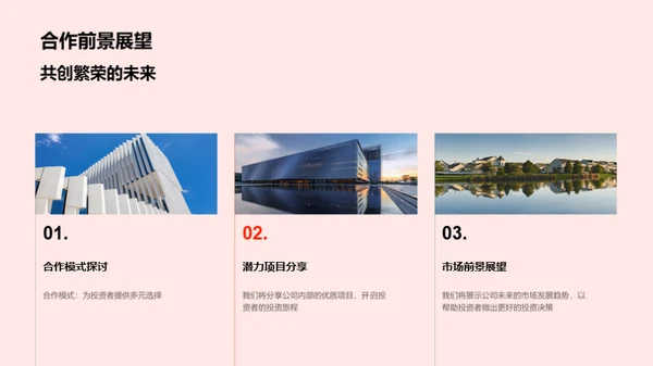 公司展望与投资者邀请