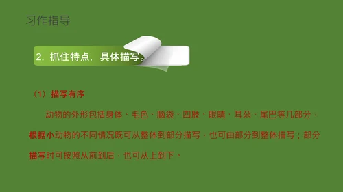 国宝大熊猫语文课教学课件通用PPT模板